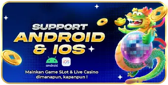 IDN11